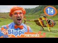 Blippi Voa de Helicóptero no Havaí | 1 HORA DO BLIPPI | Vídeos Educativos para Crianças em Português
