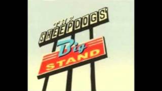 Video thumbnail of "The Sheepdogs - Let it All Show"