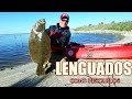 COMO ES EL PIQUE DEL LENGUADO, TÉCNICAS, EQUIPOS, CARNADA PARA SU PESCA