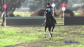 186XC Taylor Hansen JR Novice Cross Country Fresno County Horse Park Int'l HT Feb 2014