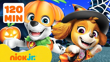 PAW Patrol