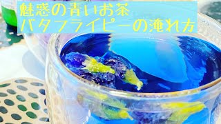 バタフライピー【＝魅惑の青いお茶】バタフライピーティーの淹れ方をご紹介しています。グラスにお湯を注ぐだけの簡単な方法です。青から紫に変わる色の変化が美しく誰でも簡単に楽しめます。