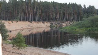 Река Березина . Песчаный пляж .Борисовский район