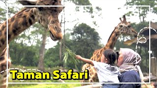 Jalan Jalan Ke Taman Safari Indonesia