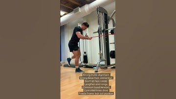 BR365 SL banded RDL Row (single leg Romanian deadlift row)