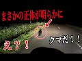 小熊？！真夜中の山道で"謎の黒い生き物"と遭遇してしまった.....