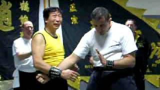 Video Of Seminar By Hung Gar Grandmaster Chiu Chi Ling