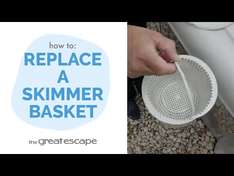 How to Replace a Hayward Skimmer Basket: A Quick and Easy Guide