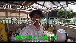 充電式動ふんで葉面散布　編　グリーンハウス栽培　#39