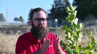 Establishing Saturated Riparian Forest Buffers Part 1