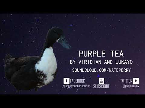 Purple Tea - Official Music Video - Viridian & Lukayo