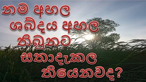 රැහැයියා rahaiya - DayDayNews