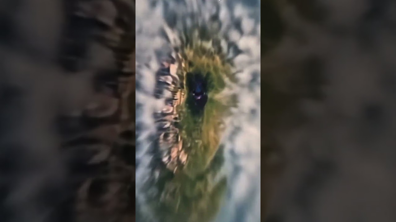 "Epic Earth Zoom: Dancing Wolves Performance in Stunning Detail!"