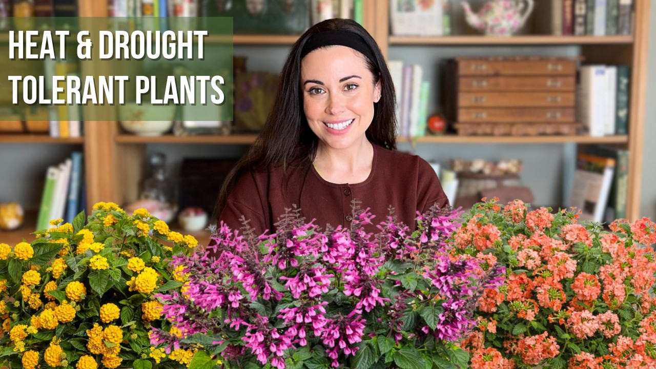 10 Heat & Drought Tolerant Plants That Thrive In My Garden! 🔥🌿