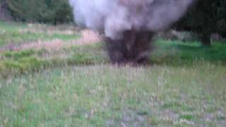 ANMNAL-X Explosion (500g)