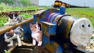 Before And After Rescue Homeless Kittens By The Train Tracks And Design Pink Stations For Kittens