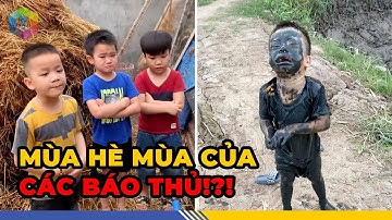 Độc Lạ “Măng Non” Việt:  Loạt Khoảnh Khắc “Dở Khóc Dở Cười” Khiến Phụ Huynh… Sốc Toàn Tập