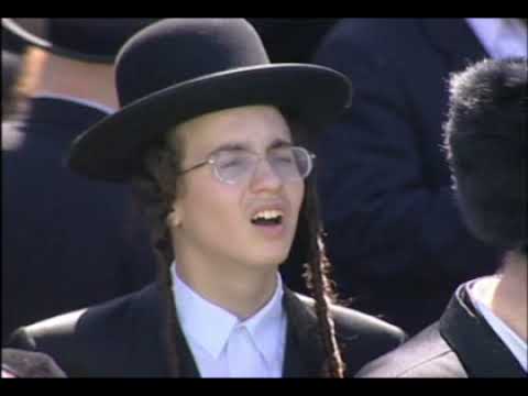 תקציר מו' דוד לתורמים