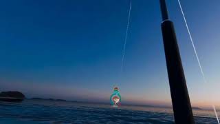 리얼 피싱 VR 뱀상어 잡다~~!! screenshot 5