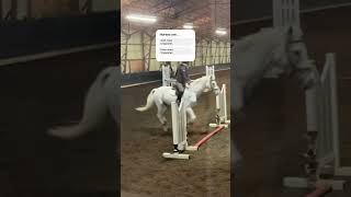 My Ungulate Was Slightly Dramatic