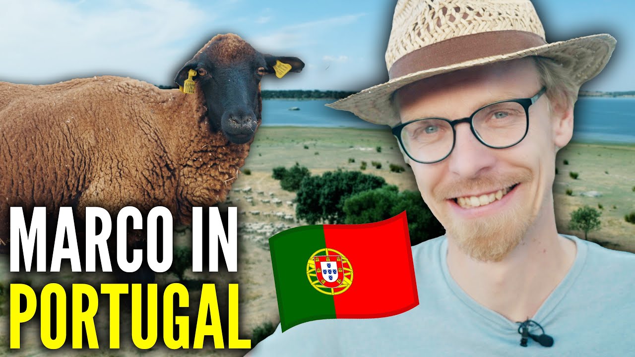 Was hat das portugiesische Urmerino mit NORDWOLLE zu tun?