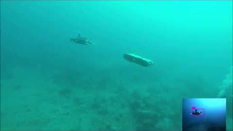 Underwater Multi-Robot Convoying using Visual Tracking by Detection