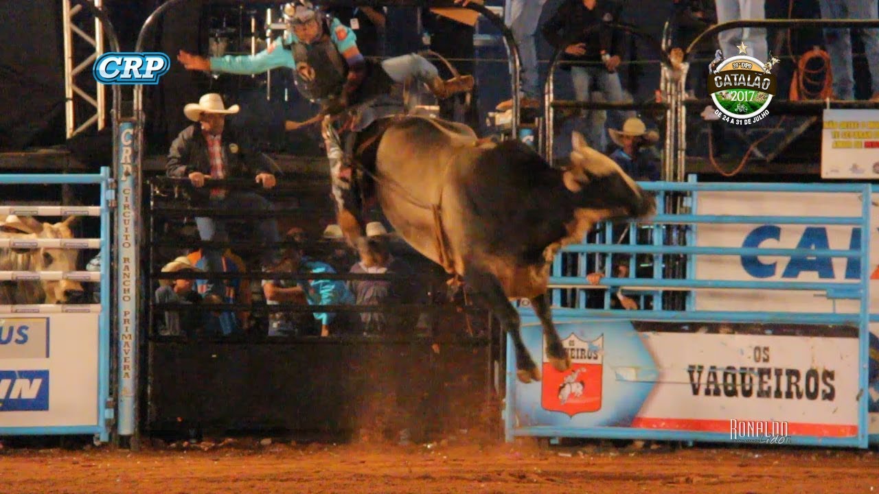 Expo Catalão 2017 - MELHORES TOUROS / SÁBADO horseshoe bend