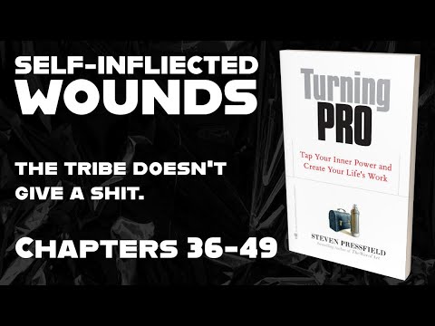 Self-Inflicted Wounds - TRIBE DON'T GIVE A SH*T - Chapters 36-49 - Turning Pro Book Club go.fsbb.io
