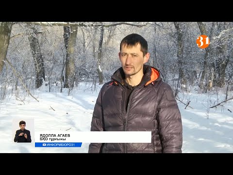 Бейне: AAC кім пайдаланады?