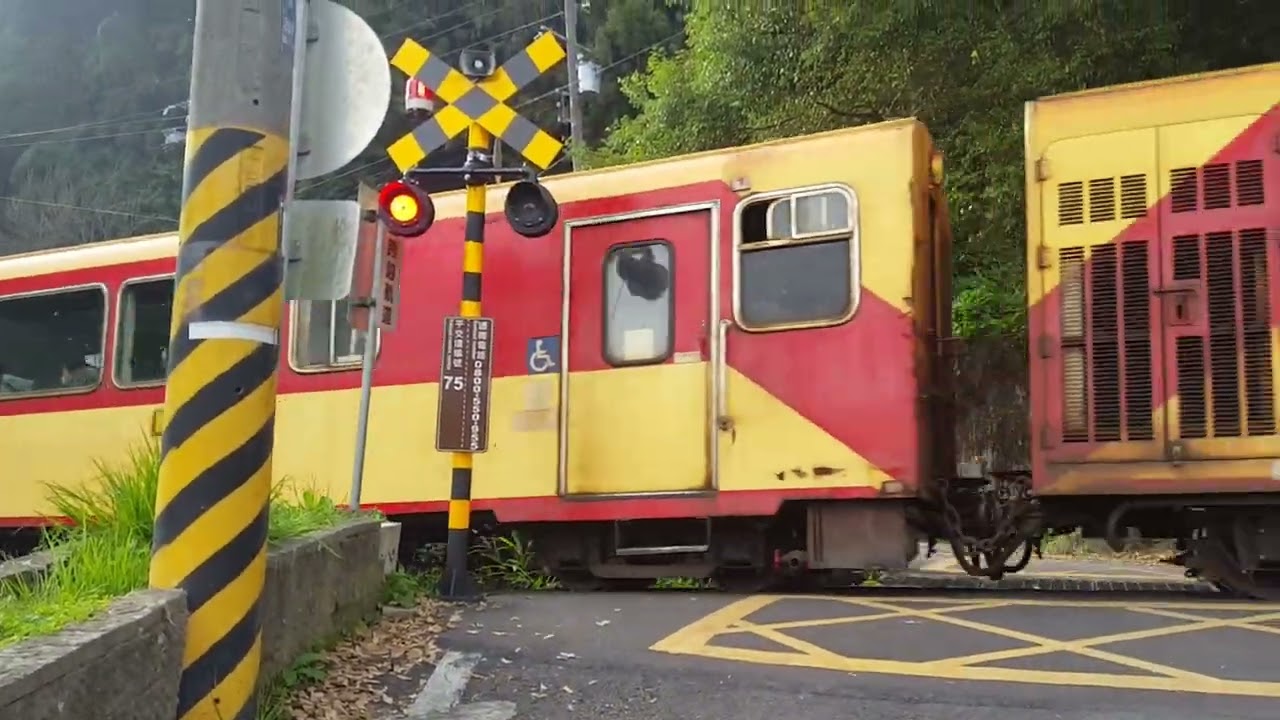 阿里山小火車 奮起湖站(下午3點出發前往嘉義)