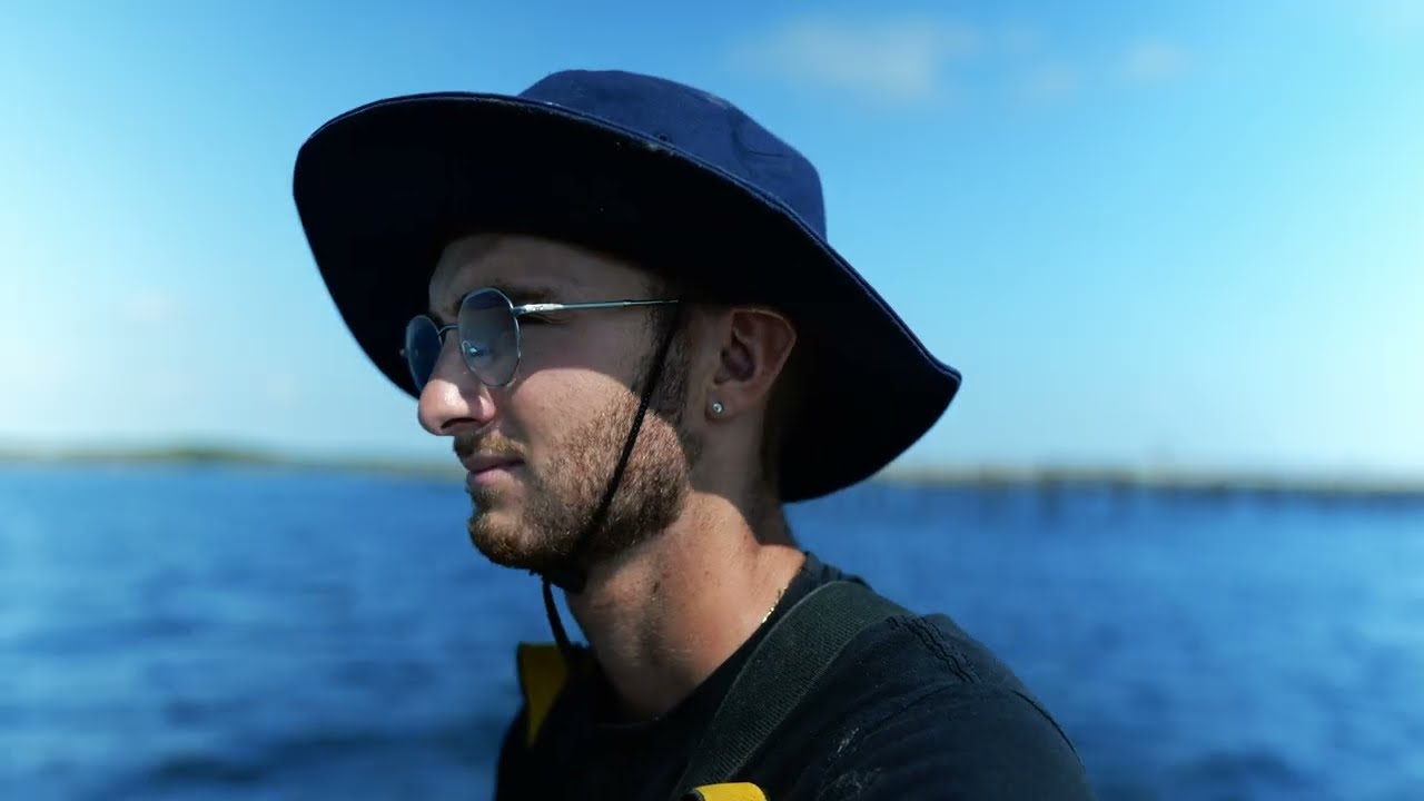 du naissain à l'assiette, Les dentelles de Thau