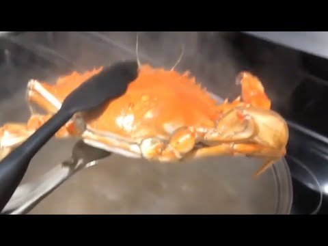 How To Eat Blue Crabs - YouTube