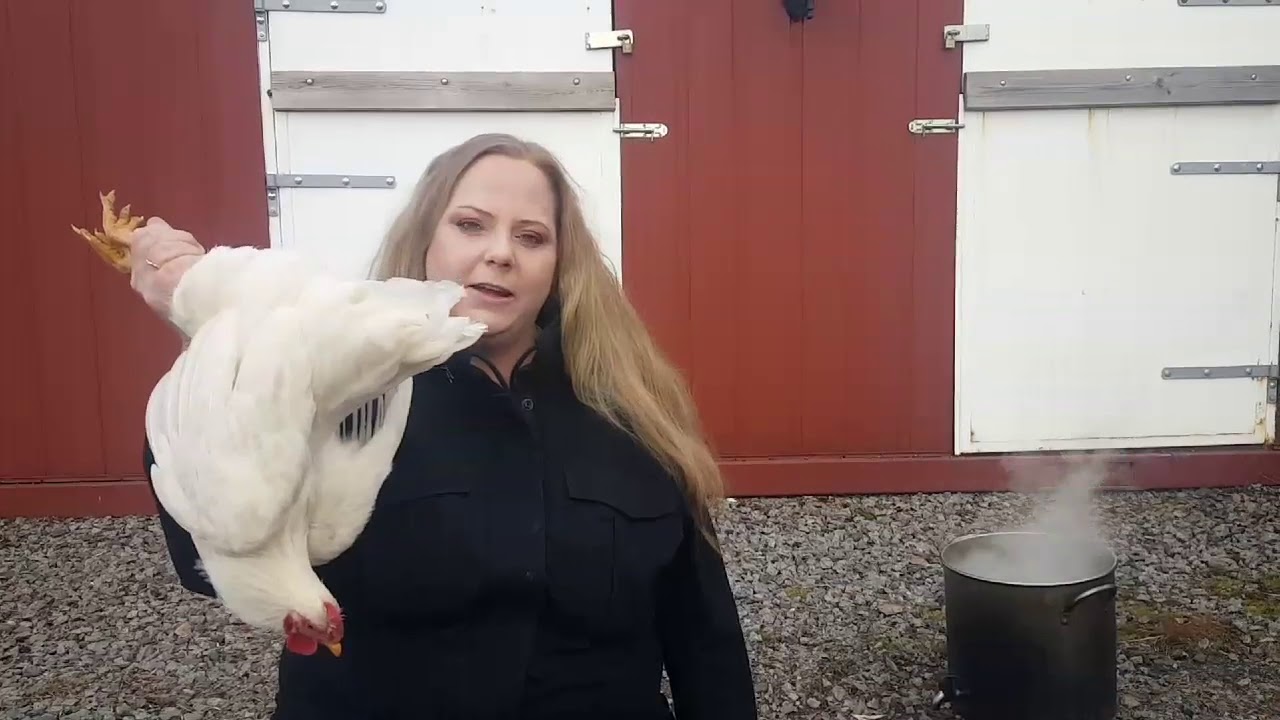 Slakting Av Hane Steg For Steg Del 1 Youtube