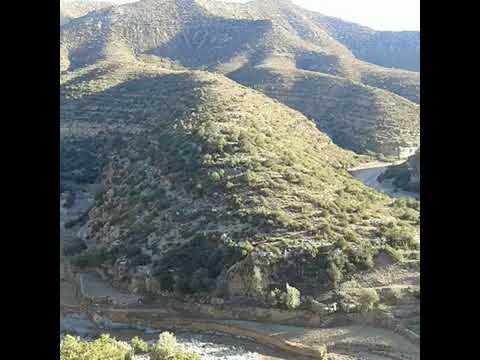 اغاني شلحة وترة 