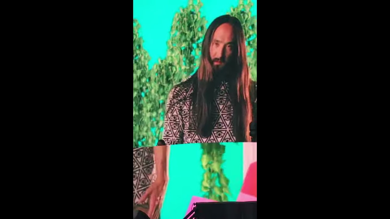 Send It x Delirious (Boneless) - Steve Aoki (live) 2019 on Festival X Sydney