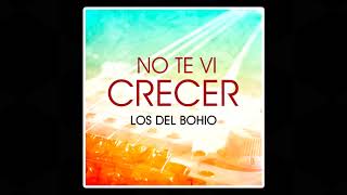 Video thumbnail of "Los Del Bohio - No Te Vi Crecer"