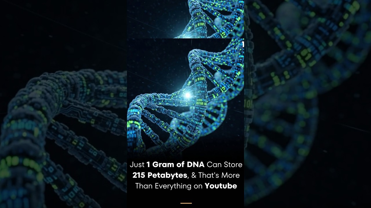 The Future of Data Storage - DNA? 