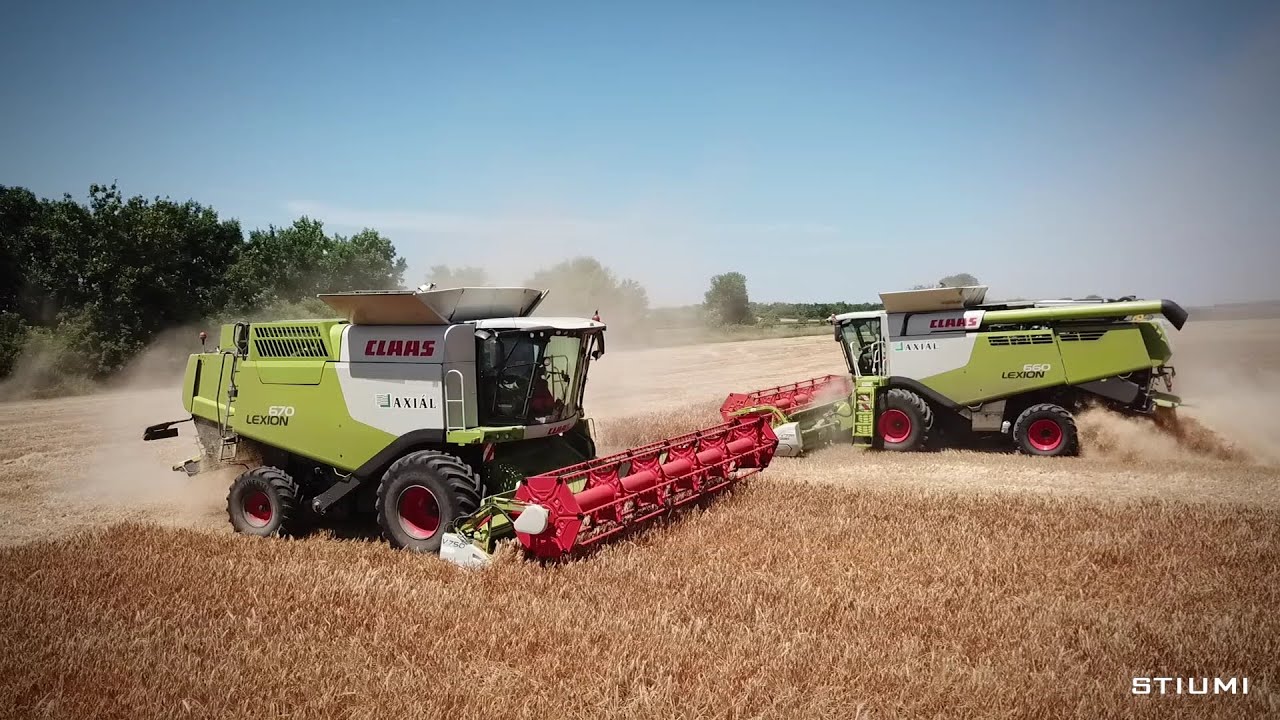 CLAAS LEXION 660, 670 Árpa aratás [2022] Tolna, Aranykalász MgTSzSz