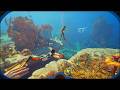 SUBNAUTICA 2 ONLINE MULTIPLAYER GAMEPLAY