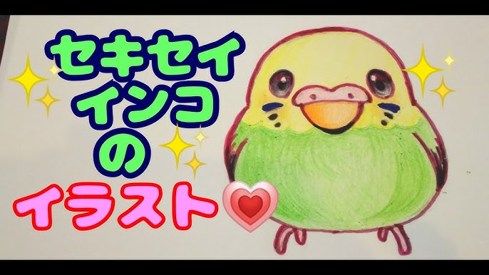 セキセイインコ かわいい小鳥イラスト描き方 絵 色鉛筆画 方法きれいに描くコツ等下書きから完成まで かんたん動画オパーリングリーンvゆきぴょんチャンネル 絵 ゆきぴょん オリジナルです Youtube セキセイインコ かわいい小鳥イラスト描き方 絵 色鉛筆画 方法きれいに描くコツ等下書きから完成まで かんたん動画オパーリングリーンvゆきぴょんチャンネル 絵 ゆきぴょん オリジナルです Youtube