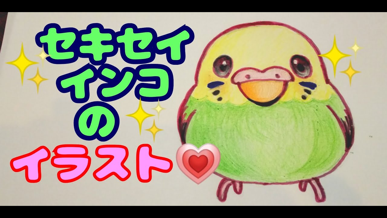 セキセイインコ かわいい小鳥イラスト描き方 絵 色鉛筆画 方法きれいに描くコツ等下書きから完成まで かんたん動画オパーリングリーンｖゆきぴょんチャンネル 絵 ゆきぴょん オリジナルです Youtube