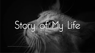 Story of My Life _ One Direction