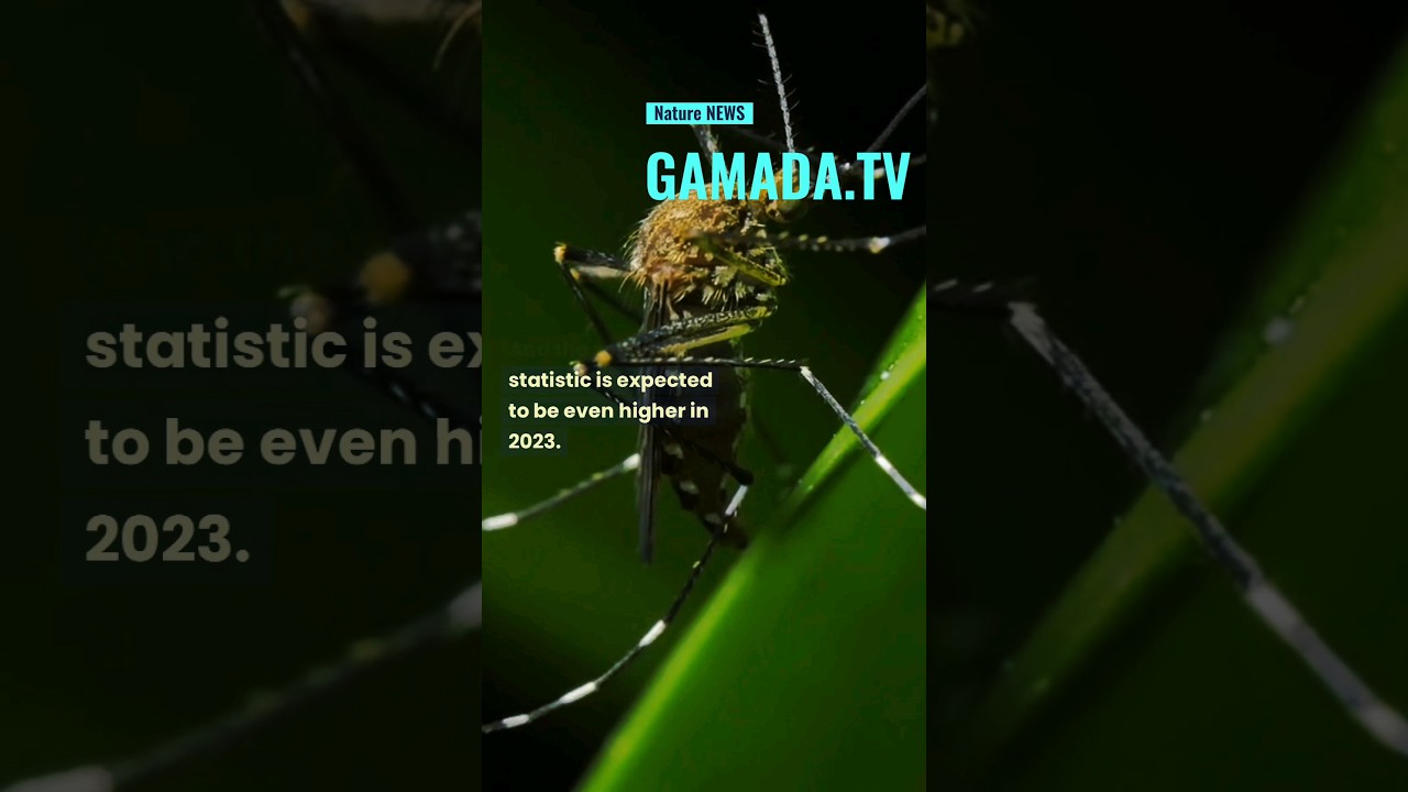 NEWS| Climate Change Expected to Increase Zika and Dengue Transmission 