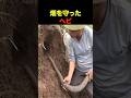 畑を守ったヘビ【雑学】