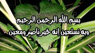 خيره وتوقعات حسب اول حرف من اسمكم هل الشريك حبه صادق توقعات مضبوطه منقول