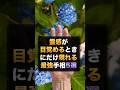 霊感が目覚めるときにだけ現れる最強手相5選。