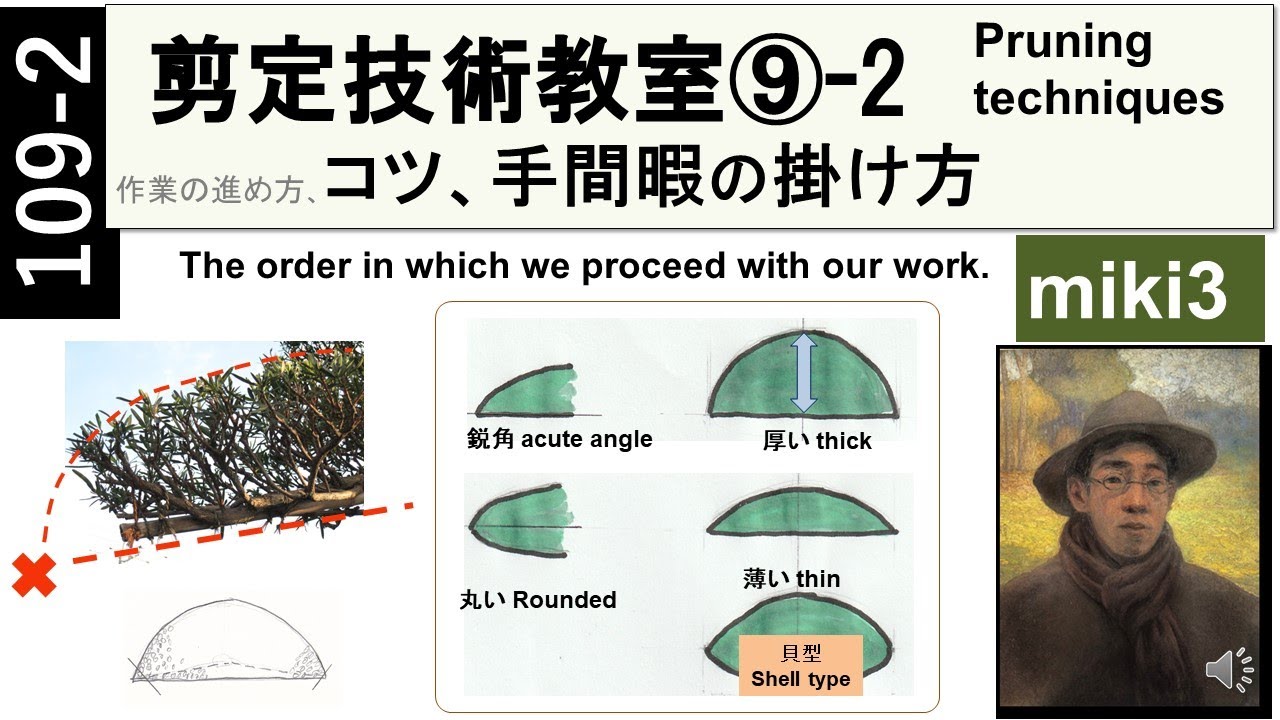 109 2 剪定のコツ 手間暇の掛け方 Tips For Pruning How To Spend Time And Effort Miki3 Youtube