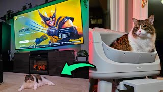 SMART TECH CLEANS UP AFTER OUR CAT SO WE CAN KEEP GAMING! - PetPivot Autoscooper 12 REVIEW 
