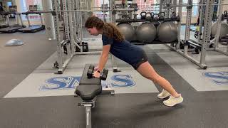 Elevated Plank Dumbbell Row