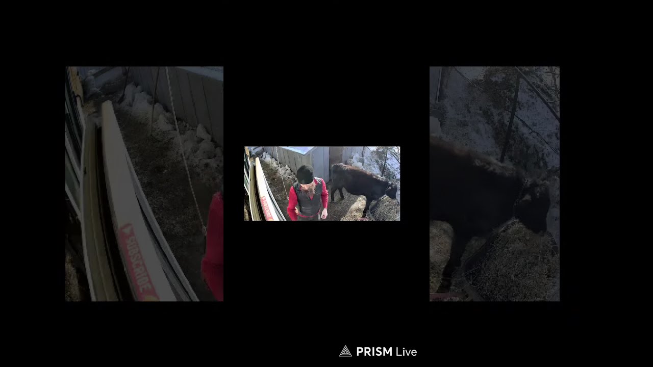 Прямая трансляция Geo Dome Life